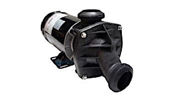 Jacuzzi 120V 2SP J-Pump | 2500-255