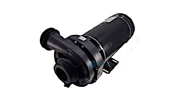 TheraFlo 240V 2.0HP 1SP 60HZ Jacuzzi-Sundance Pump | 6500-266