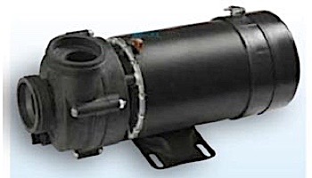 Balboa Vico Ultima 115V 1.5HP 2SP 2" SD Spa Pump | 1014055