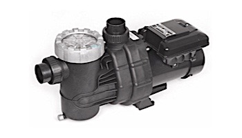 Raypak Variable Speed Pool Pump 1.65 THP | 208-230V | PS165VSP