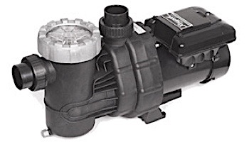 Raypak Variable Speed Pool Pump 1.65 THP | 208-230V | PS165VSP