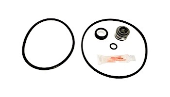 Seal & Gasket Kit for Jacuzzi LR Series | GO-KIT41 APCK1037