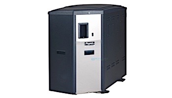 Raypak X94 ASME Digital Professional Condensing Gas Pool Heater | Natural Gas 399BTU | 014280