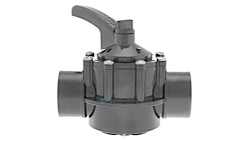 Hayward CPVC Check Valve 1.5 x 2" | PSCV2S