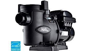 Jandy FloPro Variable Speed Pump without Controller | 1.65HP Full-Rated | 230V Energy Efficient | VS-FHP165AUT