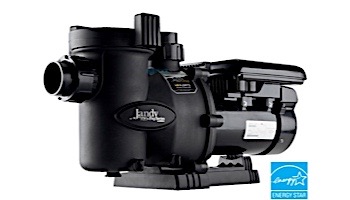 Jandy FloPro Variable Speed Pump without Controller | 2.7HP Full-Rated | 230V Energy Efficient | VSFHP270AUT