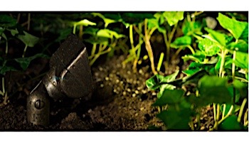 FX Luminaire PB 3 LED Wall Wash Light | Flat Black | PB-3LED-FB