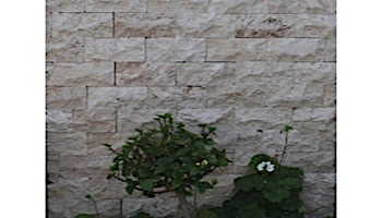 Travertine 6x24 Splitface Wall Panel | Ivory |