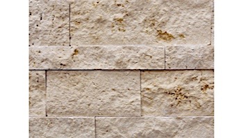 Travertine 6x24 Splitface Wall Panel | Ivory |