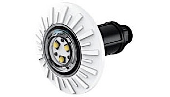 Brilliant Wonders Color LED Light | P-Style 11 Watts 25' Cord | 25503-560-025P