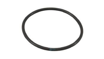 Powerclean Salt Models O-Ring | 52000-200-101