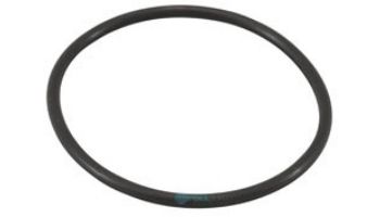 Powerclean Salt Models O-Ring | 52000-200-101