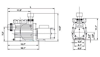 Speck Pumps S90-II Single Speed Pool Pump 1 HP 3 Phase | IG123-1075F-000