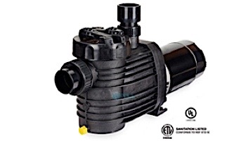 Speck Pumps S90-II Single Speed Pool Pump 1 HP 3 Phase | IG123-1075F-000 loading=