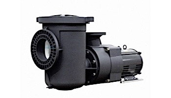 Pentair EQK750 Series 7.5HP Nema Premium Efficiency 3-Phase Pool Pump without Strainer 575V | 340149