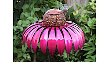 Desert Steel Coneflower Bird Feeder | Sensation Pink | 409-105