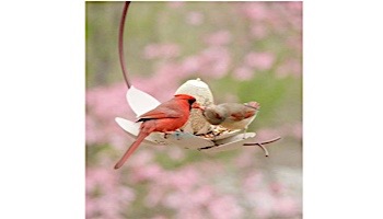 Desert Steel Magnolia Hanging Bird Feeder | 409-104