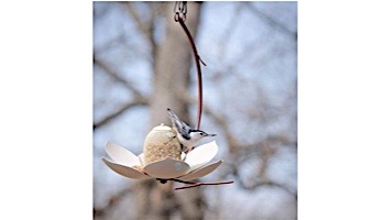 Desert Steel Magnolia Hanging Bird Feeder | 409-104