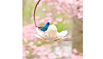 Desert Steel Magnolia Hanging Bird Feeder | 409-104