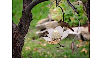 Desert Steel Magnolia Hanging Bird Feeder | 409-104