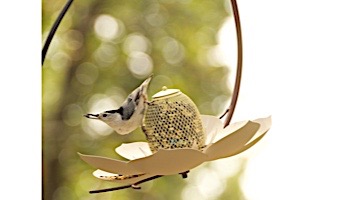 Desert Steel Magnolia Hanging Bird Feeder | 409-104