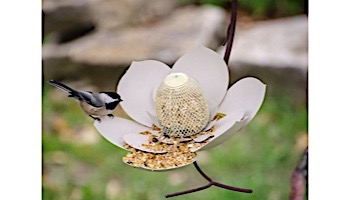 Desert Steel Magnolia Hanging Bird Feeder | 409-104