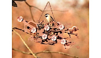 Desert Steel Cherry Blossom Hanging Bird Feeder | 409-110