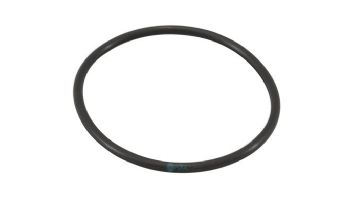 AutoPilot Pool Pilot Nano Tri-Sensor O-Ring | 19028