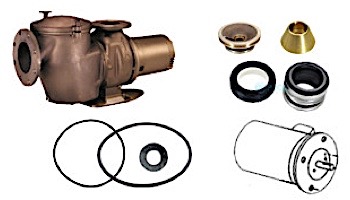 Aladdin for Pentair C-Series Commercial Bronze Pool Pumps | GO-KIT11