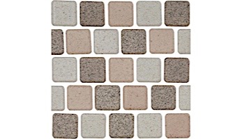 National Pool Tile Cornerstone 1x1 Series | Mocha | CNRST-MOCHA