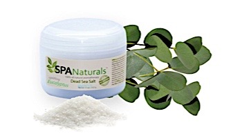 inSPAration Spa Naturals Dead Sea Salt Crystals | Eucalyptus | 11oz | 591