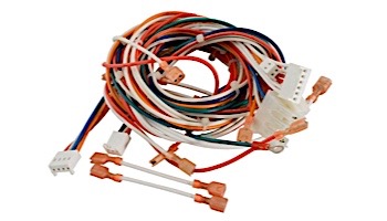 Hayward H-Series Wire Harness | IDXWHA1931