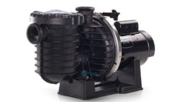 Sta-Rite Max-E-Pro1HP High-Efficiency TEFC Super-Duty 3-Phase Pool/Spa Pump | 208-230/460 | 345076