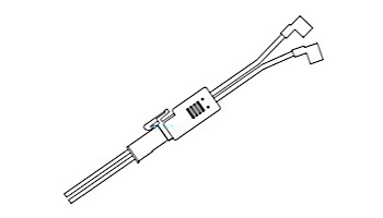 Pentair White/Color 12V Fuse Harness IntelliBrite 5G | 620276