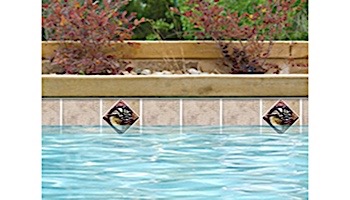 National Pool Tile Bellagio 6x6 Deco | Nautilus Glass Insert | BEL-DECO NAUTILUS