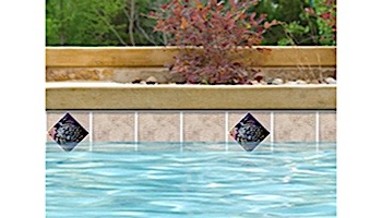 National Pool Tile Bellagio 6x6 Deco | Turtle Glass Insert | BEL-DECO TURTLE
