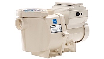 Pentair IntelliFlo i1 Variable Speed Pump VS+ 1HP | Time Clock Included | EC-011059