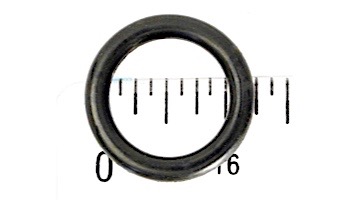 Waterway #111 O-Ring Pump Drain Plug | 805-0112B