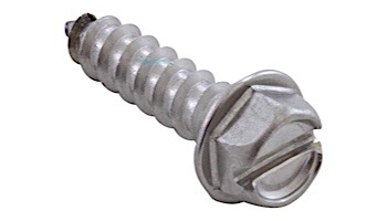 Waterway Hex Screw Slotted | 1/4" x 1-1/4" | 819-0013