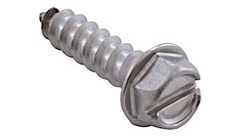 Waterway Hex Screw Slotted | 1/4" x 1-1/4" | 819-0013