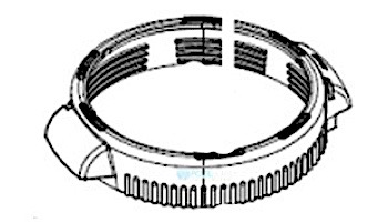 Waterway ProClean Plus Filter Lid & Lock-Ring Assembly | 175 - 200 Sq. Ft. | 550-0631