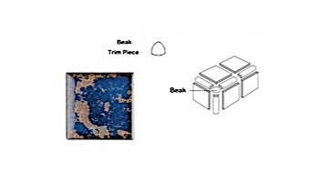 National Pool Tile Discovery Field 3x3 Beak | Terra Blue | DSF10N BEAK