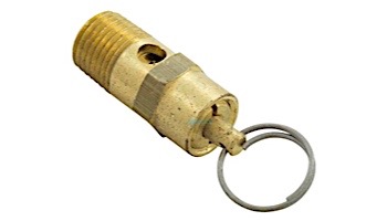 Pentair EQ Pressure Relief Valve | NPT | 1/4" | 350087