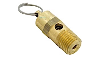 Pentair EQ Pressure Relief Valve | NPT | 1/4" | 350087