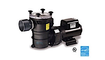 Specks Pumps 21-80/33BS Series 4HP Self-Priming Premium Energy High Efficient Plastic Pool Pump | 208-230V | SA104-1400F-0BS