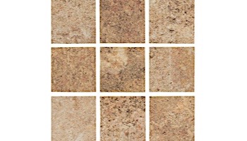 National Pool Tile Tundra 2x2 Series | Oro | TUN-ORO2X2