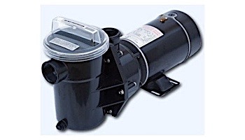 CaliMar® 1-1/2 HP Pump | 5-3197-003