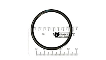 Aqua Ultraviolet Filter O-Ring | A50055