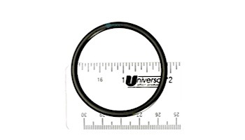 Aqua Ultraviolet 2" Valve Cover O-Ring | A50068