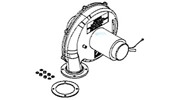 Jandy JXi Heaters Capacitor Blower Kit | R0614500